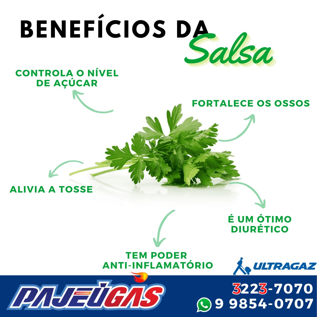 Quais São Os Benefícios Da Salsa Para Saúde